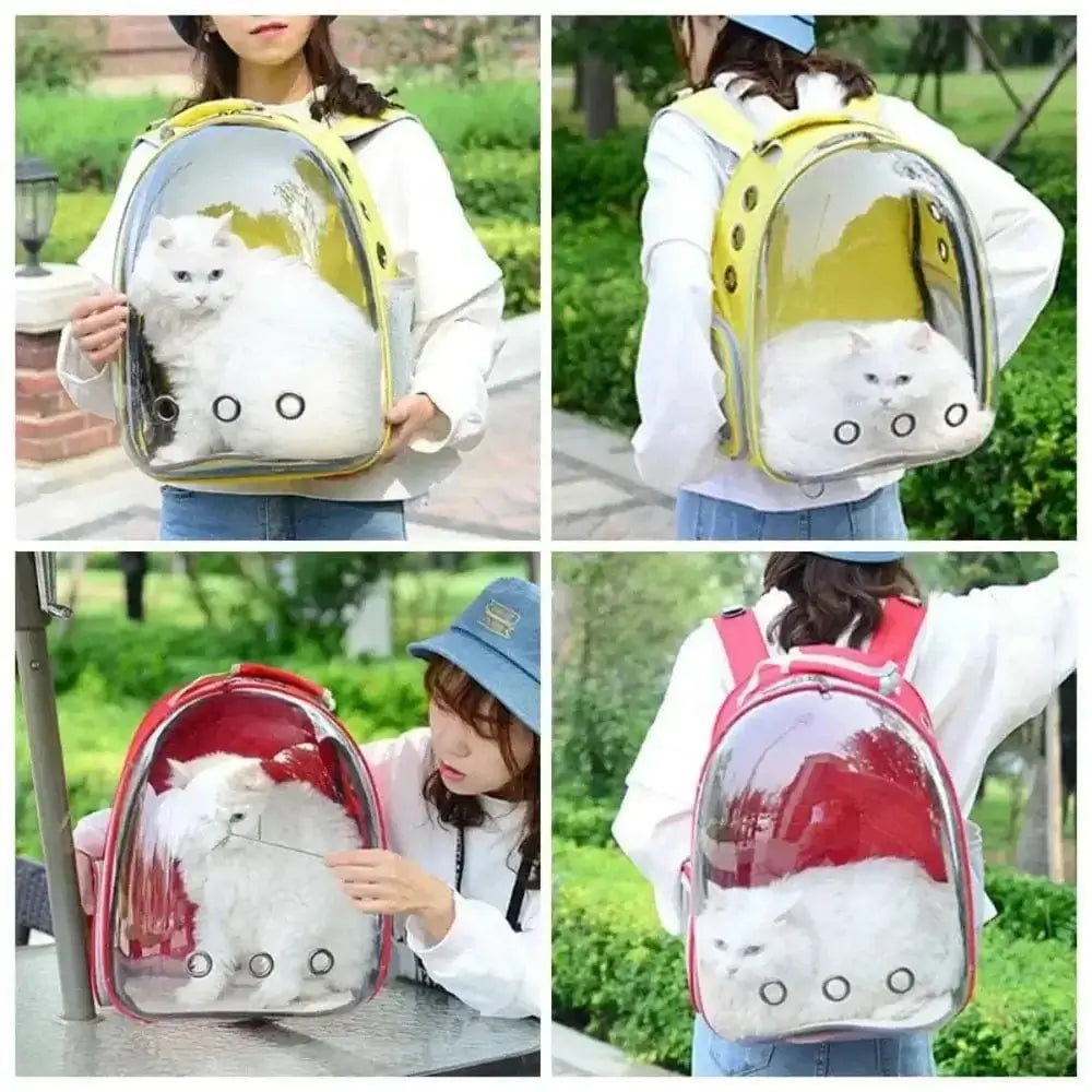 Bubble Cat Backpack – 180° View