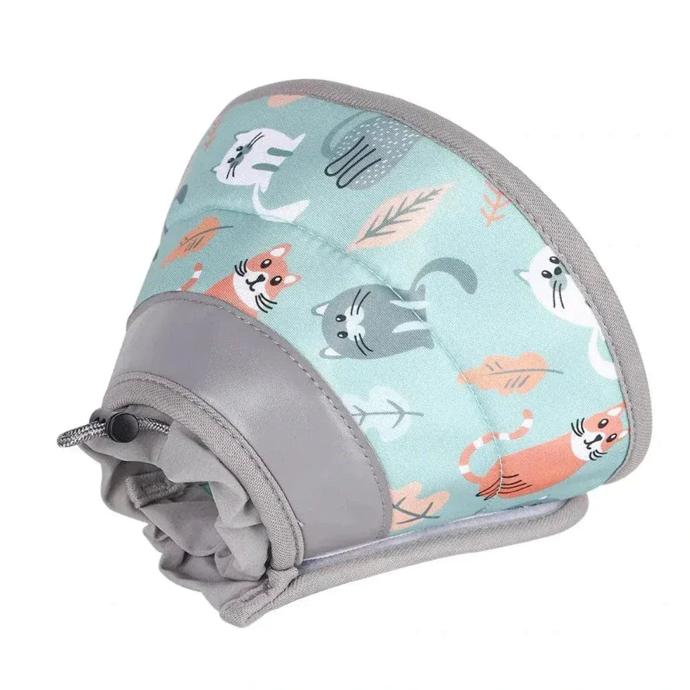 Cat Recovery Collar – Comfort & Protection