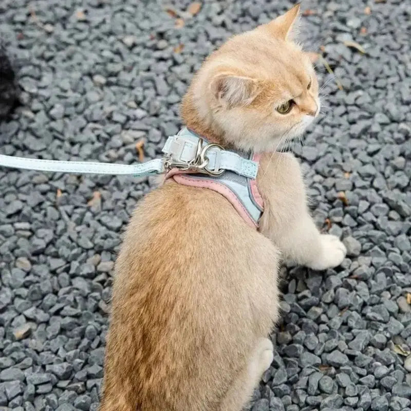 Fashion anti-escape cat harness