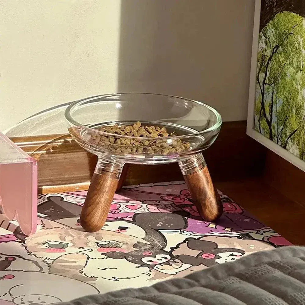 Glass cat bowl