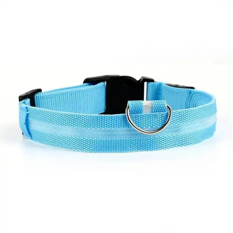 Luminous Cat Collar – Safe & Stylish Night Walks