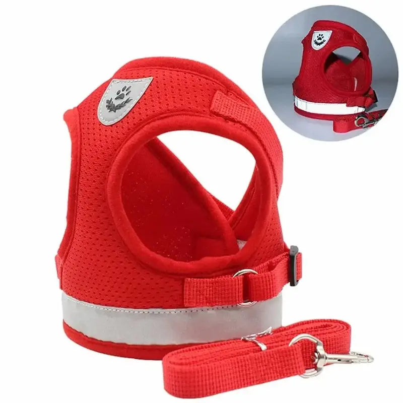 Mesh vest cat harness