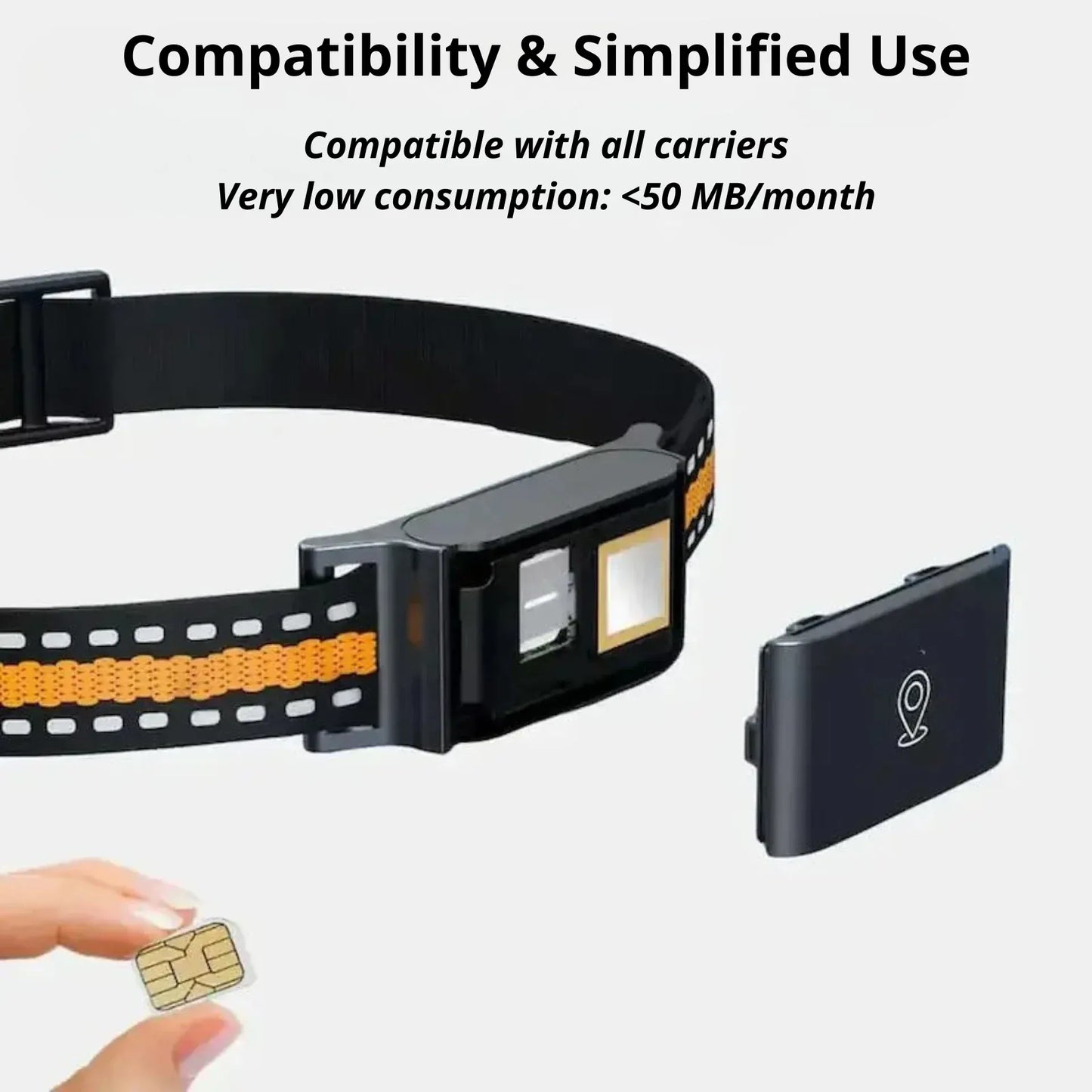 No-Subscription GPS Cat Collar – Zero Fees