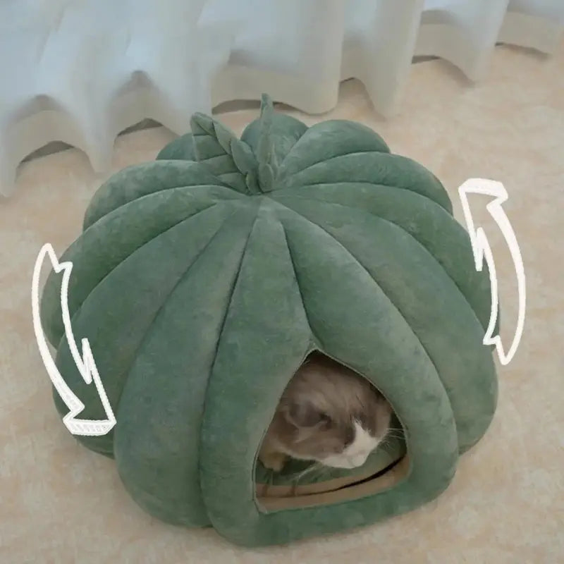Pumpkin Cat Bed