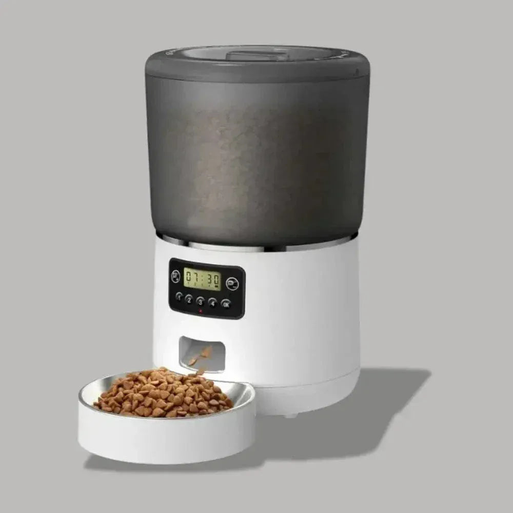 Smart automatic cat feeder