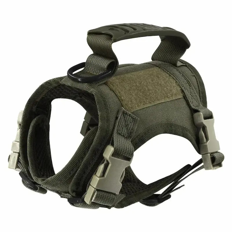 Tactical cat harness