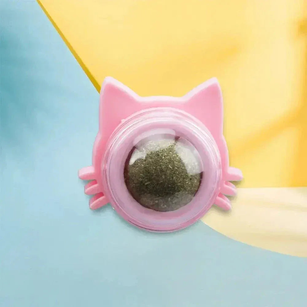 Wall-mounted catnip ball