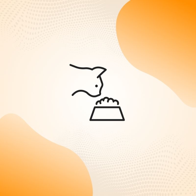 Slow feeder bowl for cats