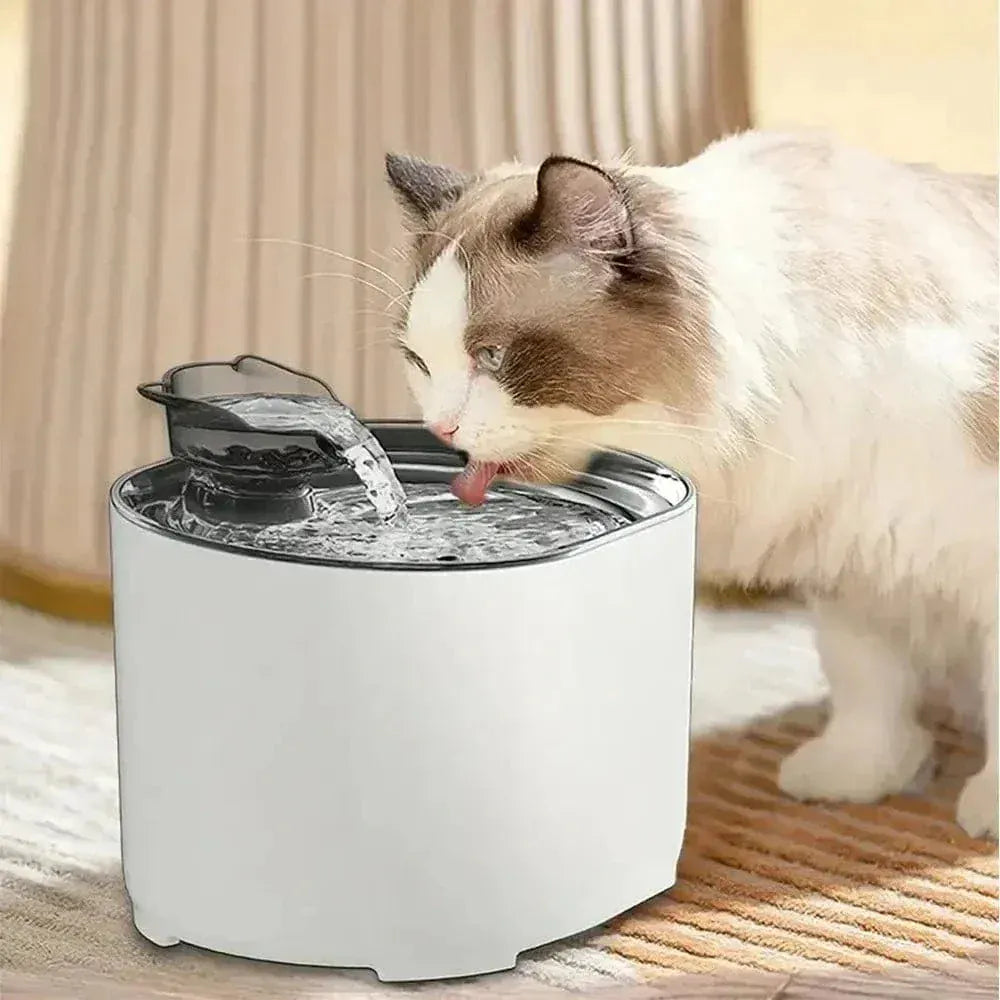 2L cat water fountain