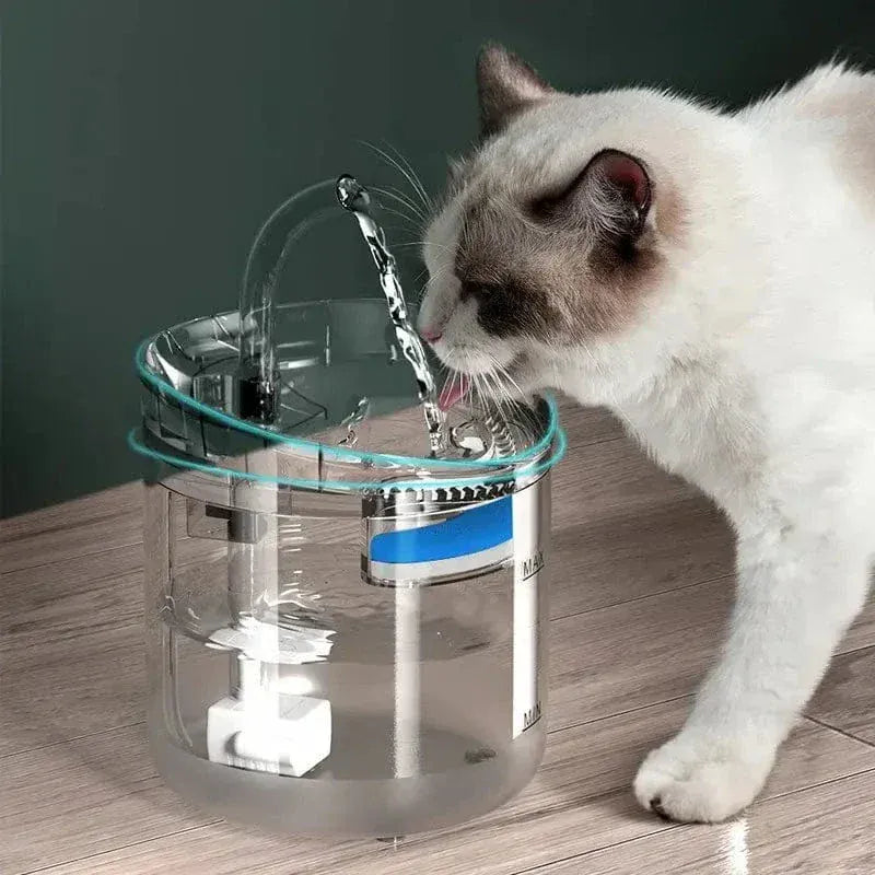2L cat water fountain with sensor