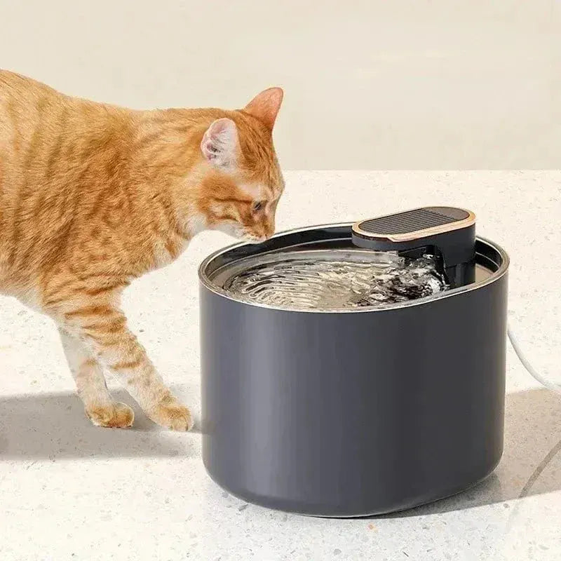 3L cat water fountain