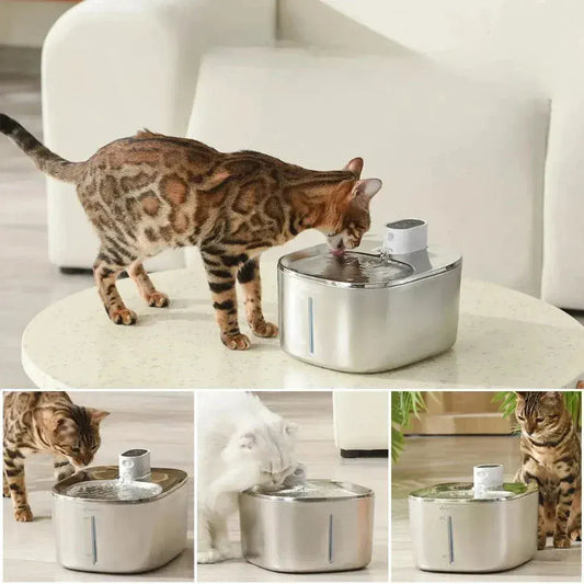 4L cat water fountain