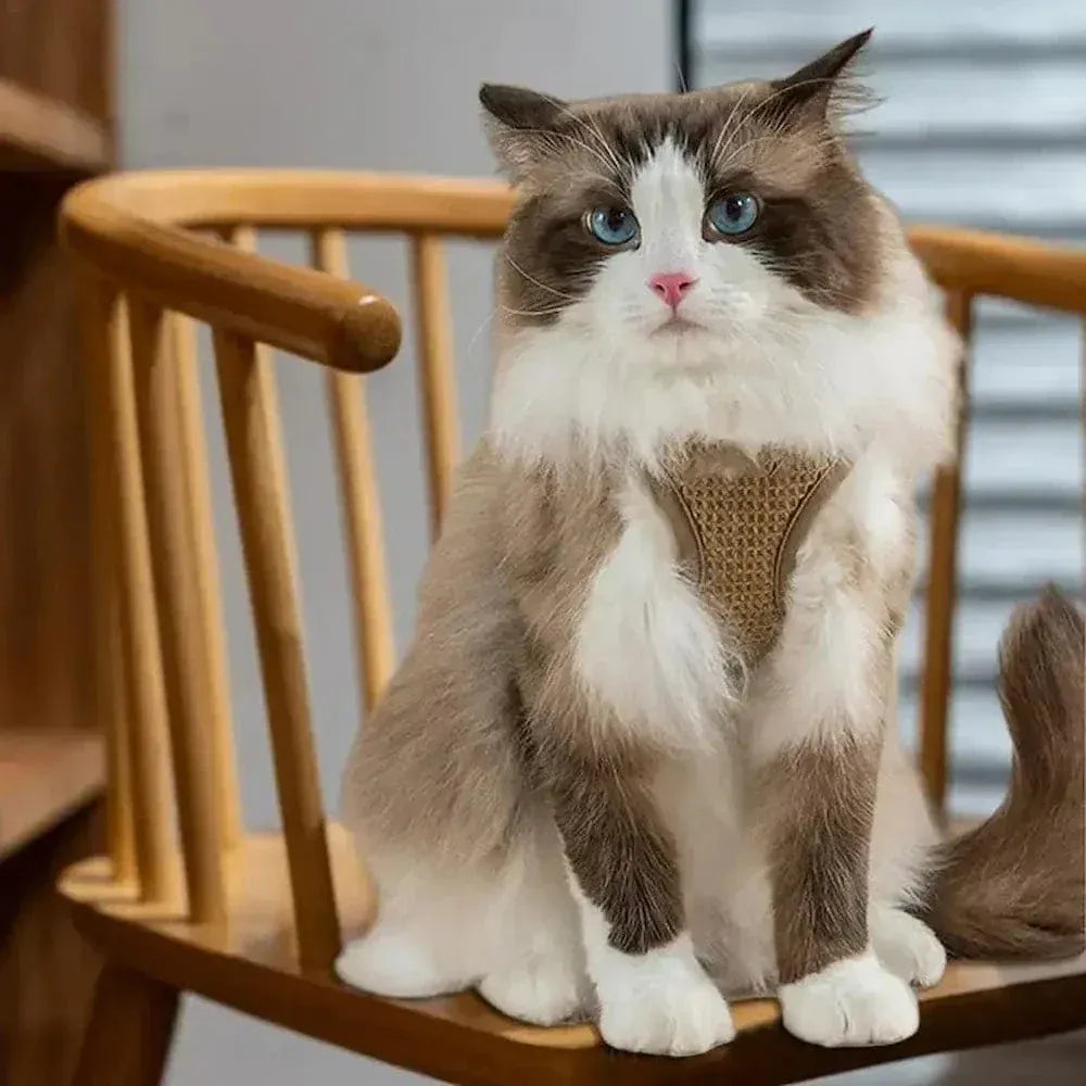 Adjustable anti-escape cat harness