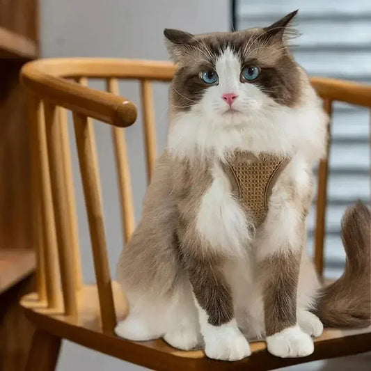 Adjustable anti-escape cat harness