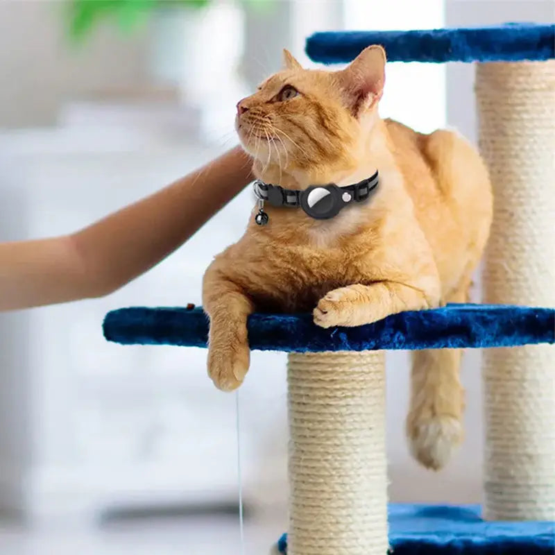 AirTag Cat Collar – Real-Time GPS Tracking