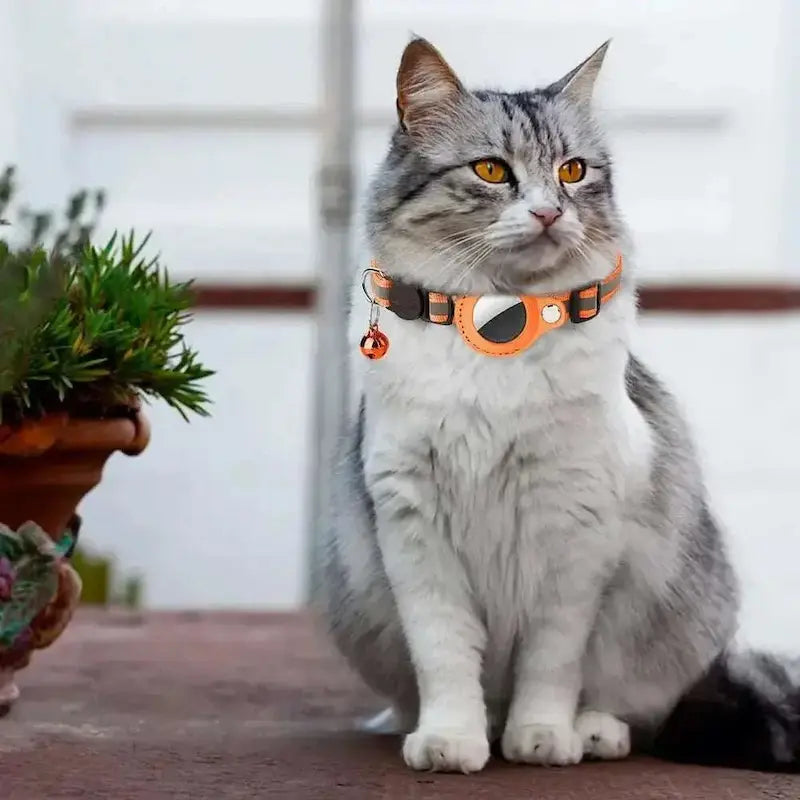 AirTag Cat Collar – Real-Time GPS Tracking