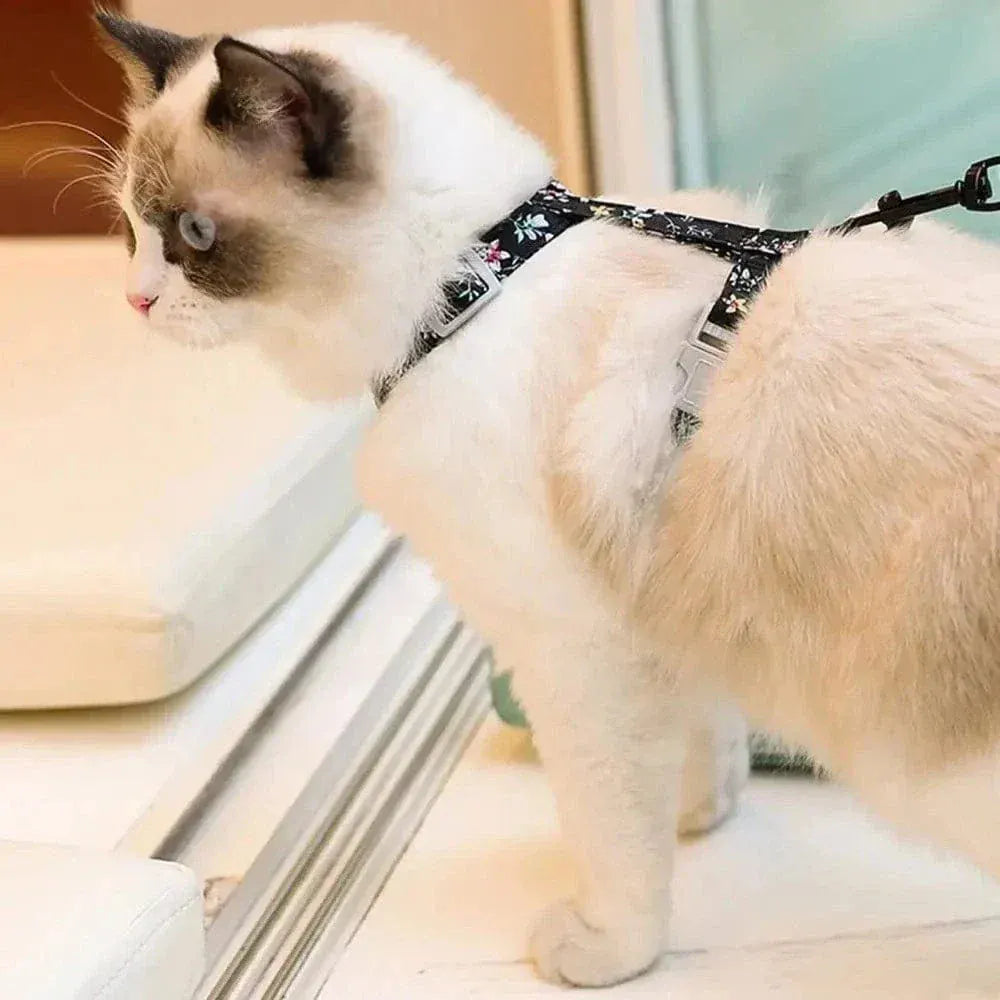 Anti-choking cat harness