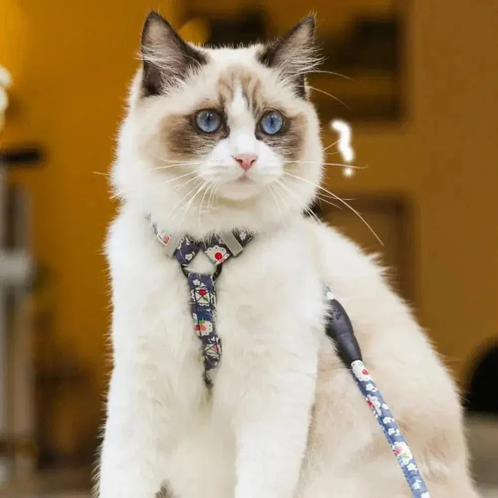 Anti-choking cat harness