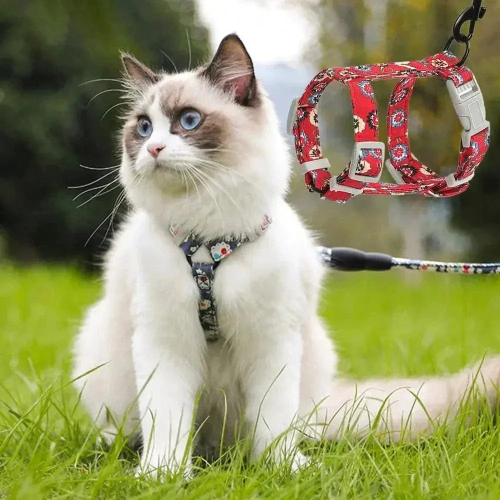 Anti-choking cat harness