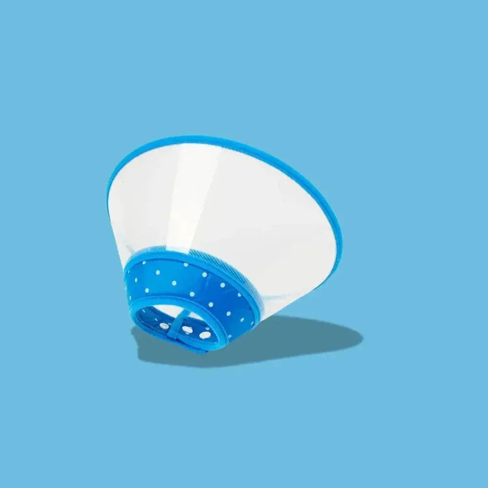 Anti-scratch cat collar