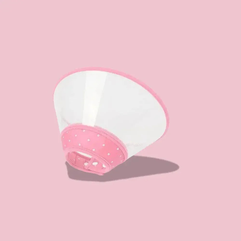 Anti-scratch cat collar