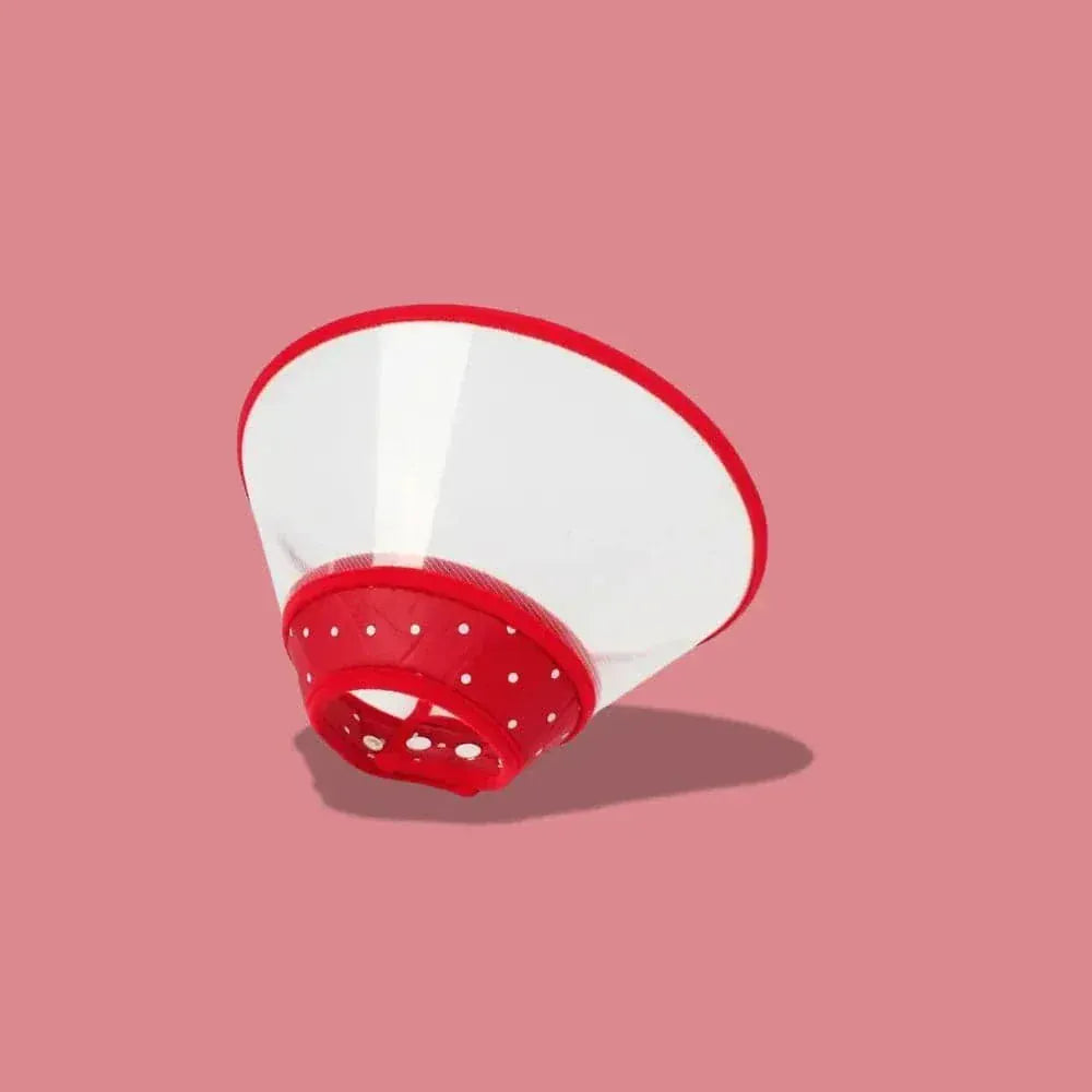 Anti-scratch cat collar