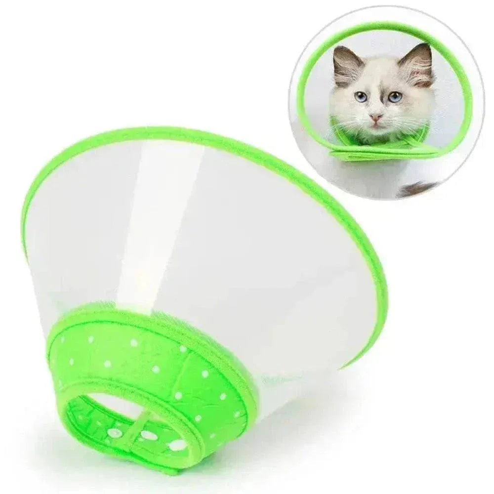 Anti-scratch cat collar