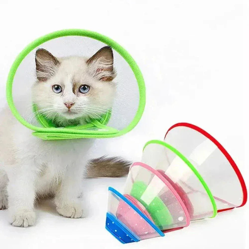 Anti-scratch cat collar