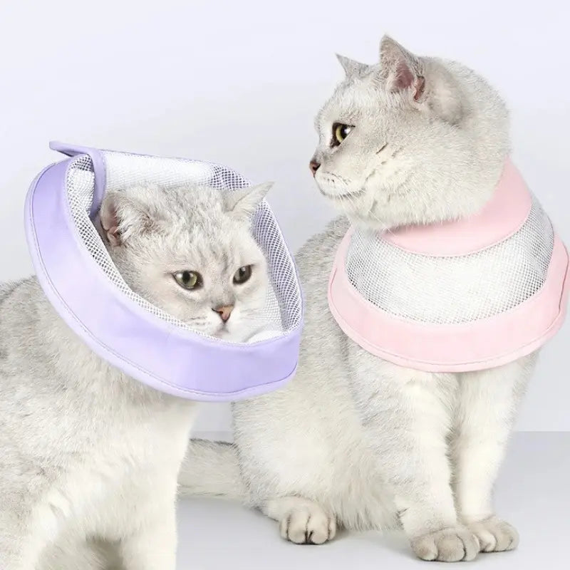 Anti-scratch cat recovery collar