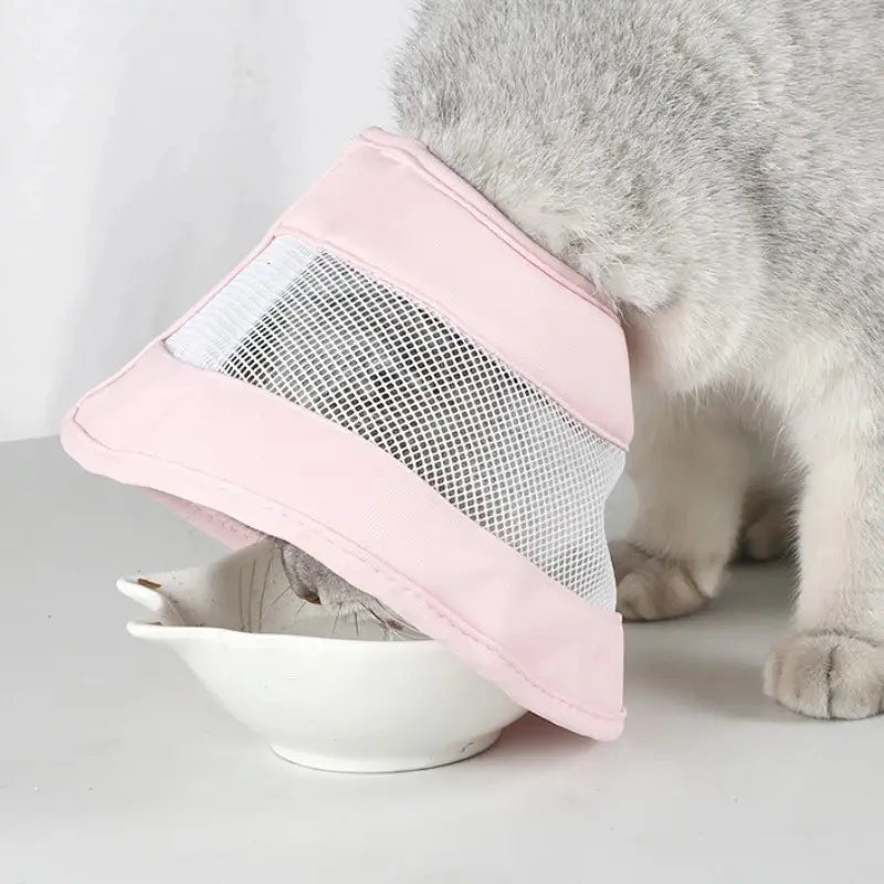 Anti-scratch cat recovery collar
