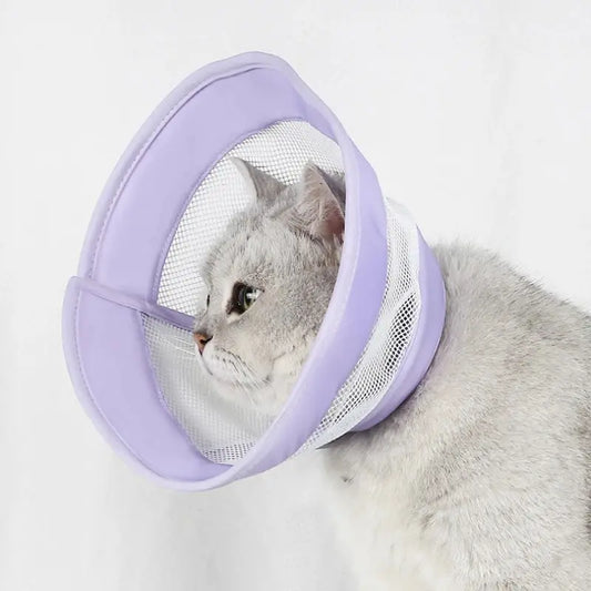 Anti-scratch cat recovery collar