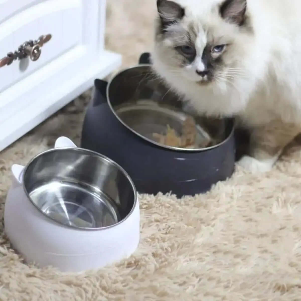 Anti-spill cat bowl