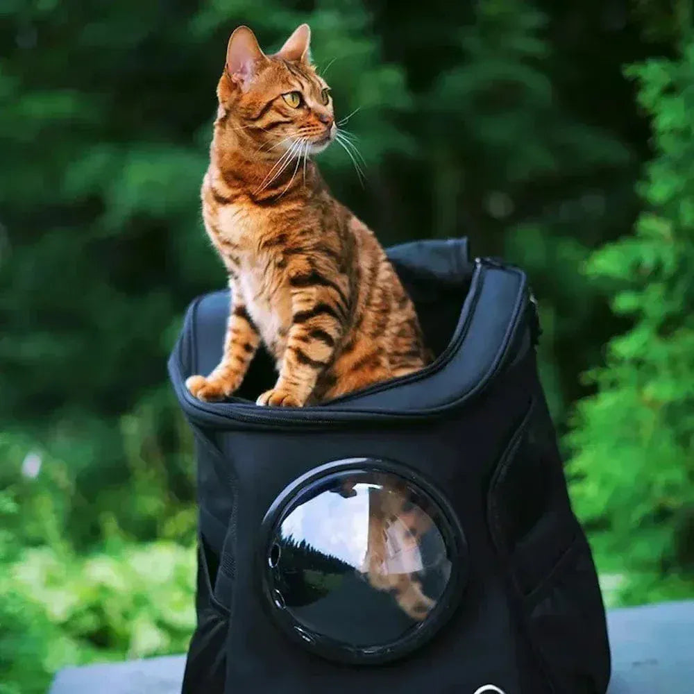 Astronaut Cat Backpack – 360° Vision & Comfort
