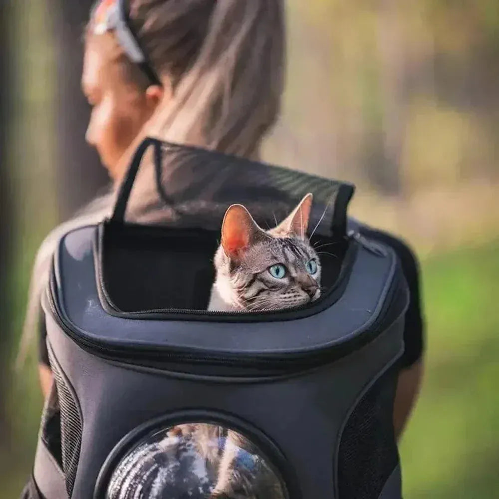 Astronaut Cat Backpack – 360° Vision & Comfort