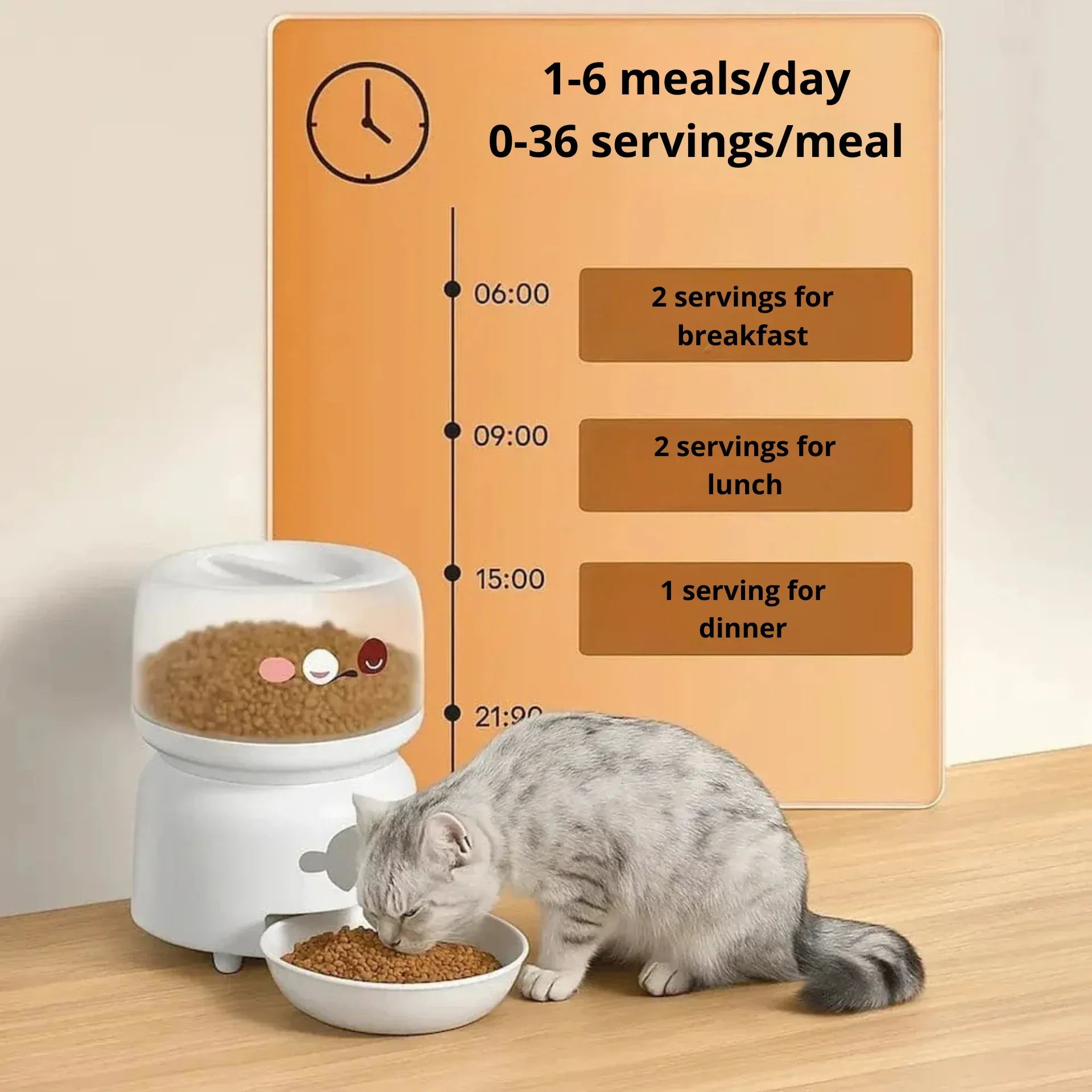 Automatic Cat Feeder