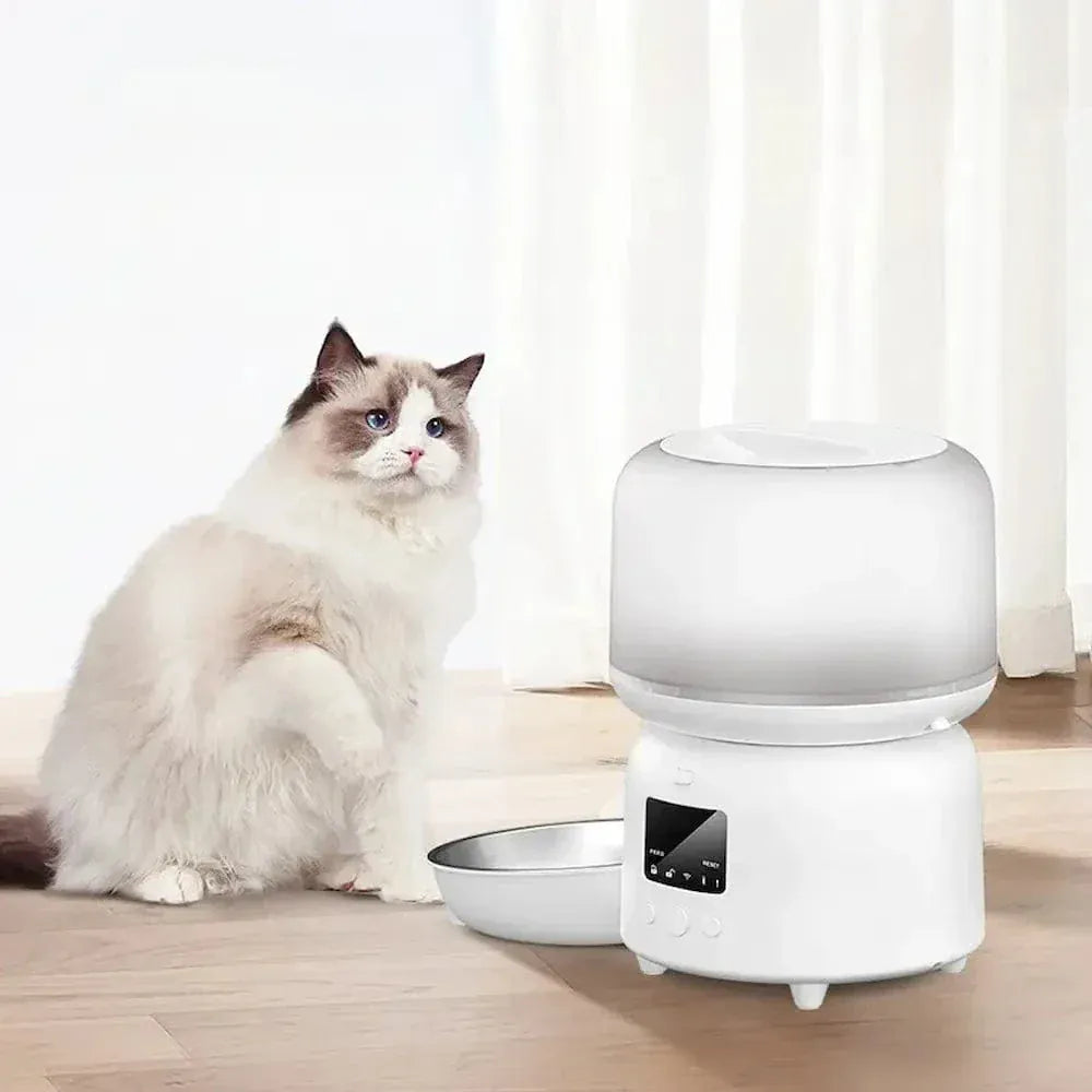 Automatic Cat Feeder