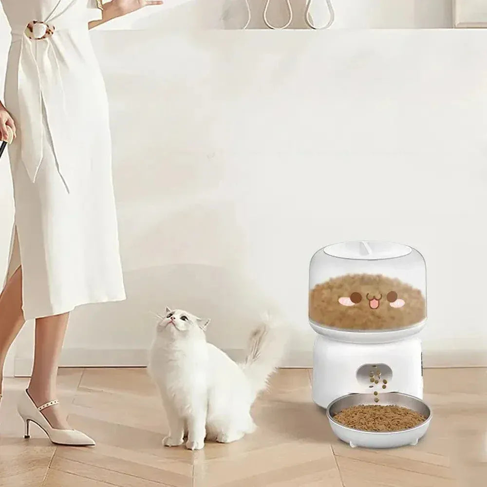 Automatic Cat Feeder