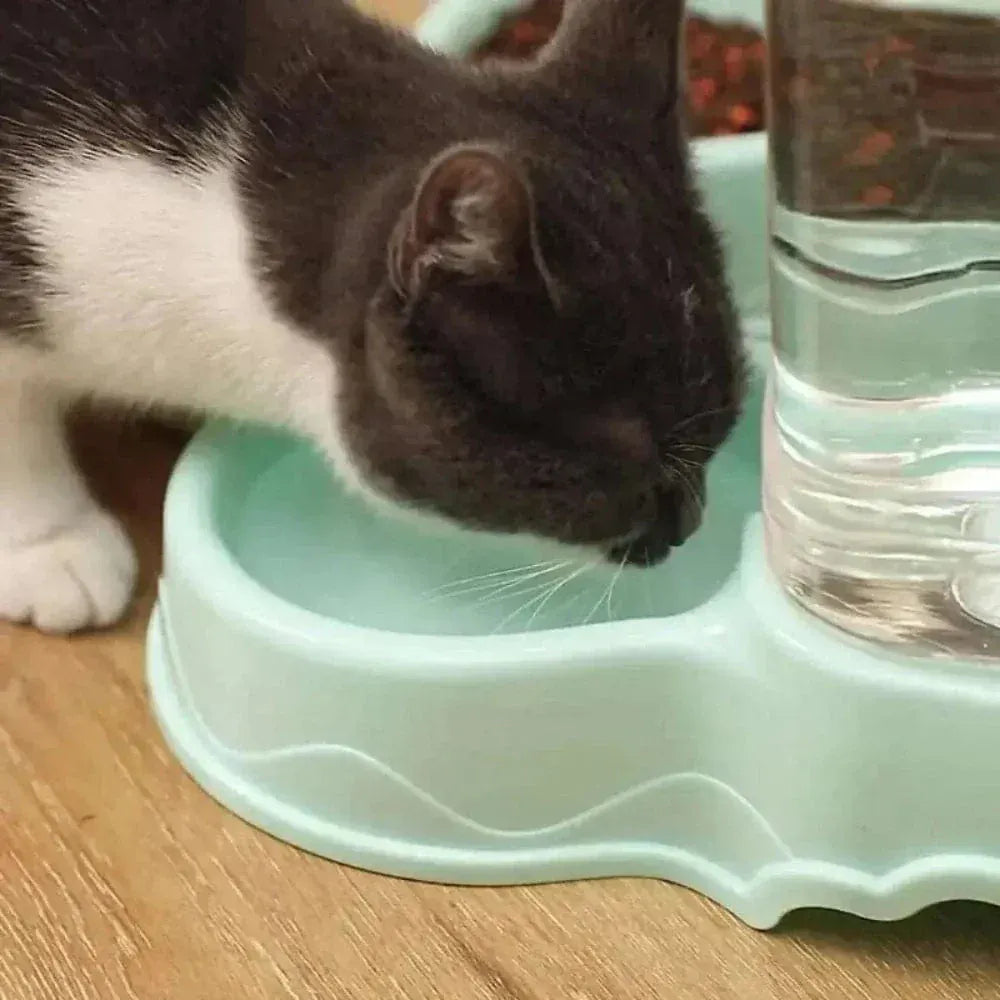 Automatic cat feeder bowl