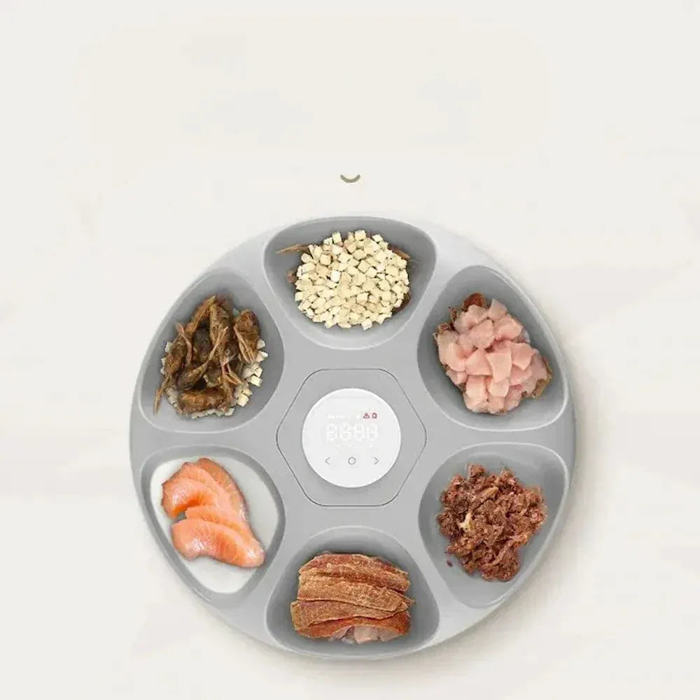 Automatic Cat Food Dispenser 6 Meals
