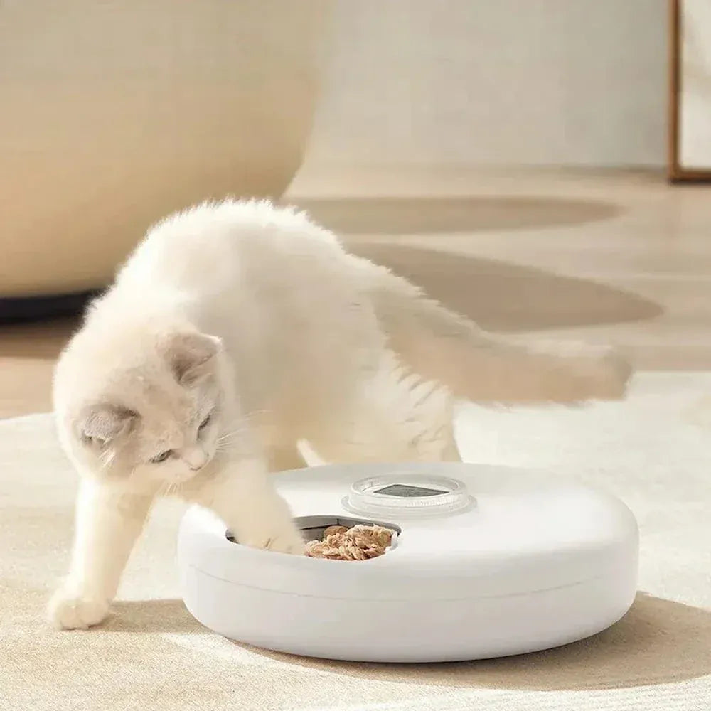 Automatic Cat Food Dispenser 6 Meals