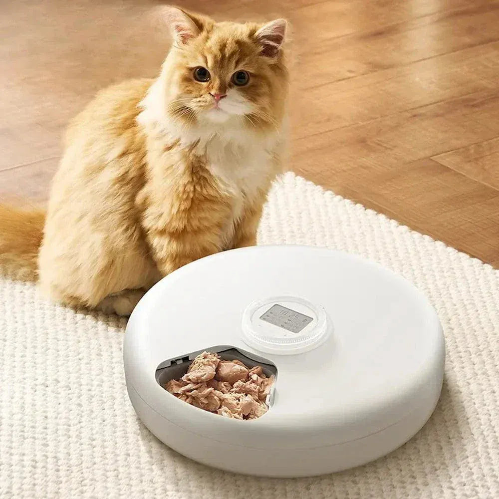 Automatic Cat Food Dispenser 6 Meals