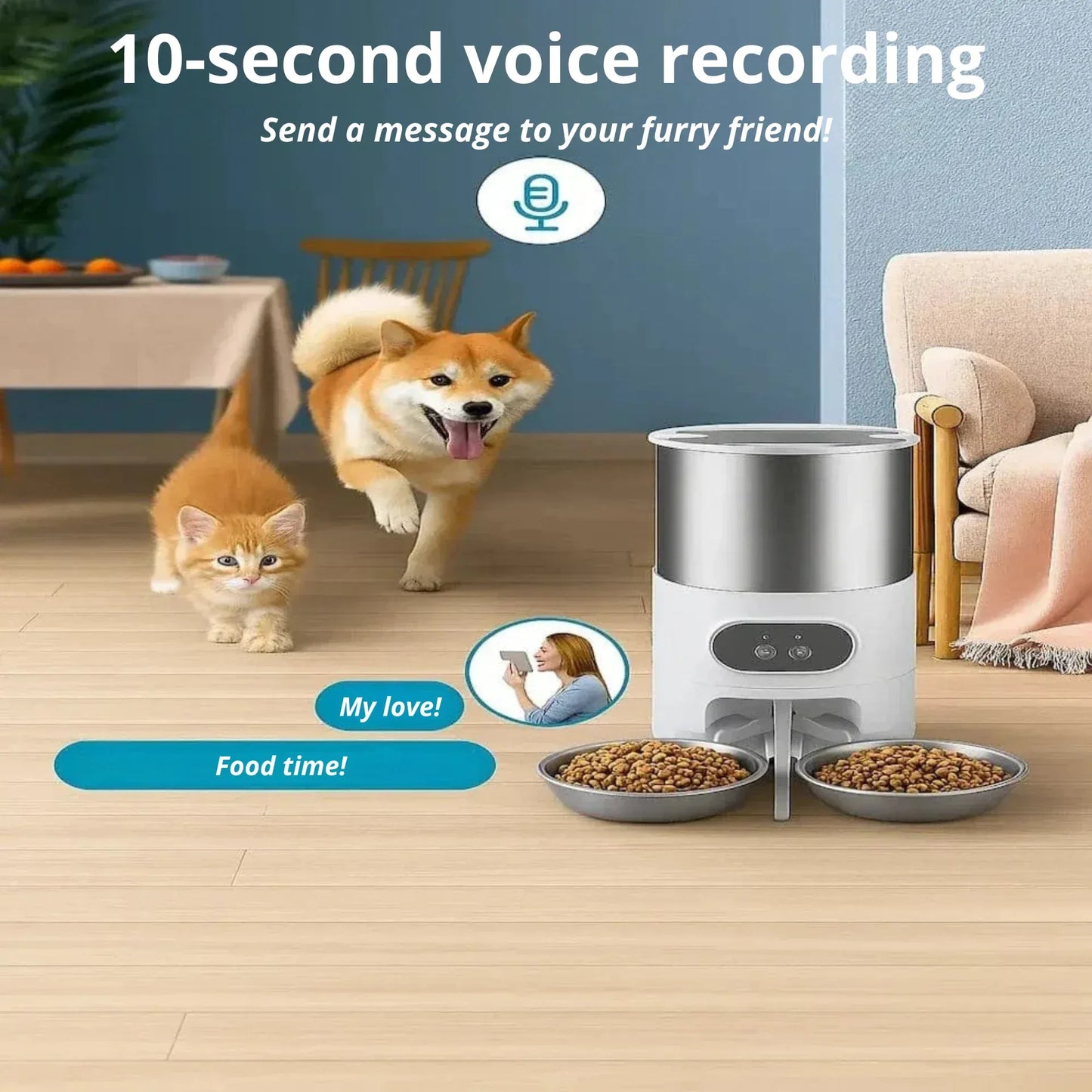 Automatic Cat Food Dispenser for 2 Cats