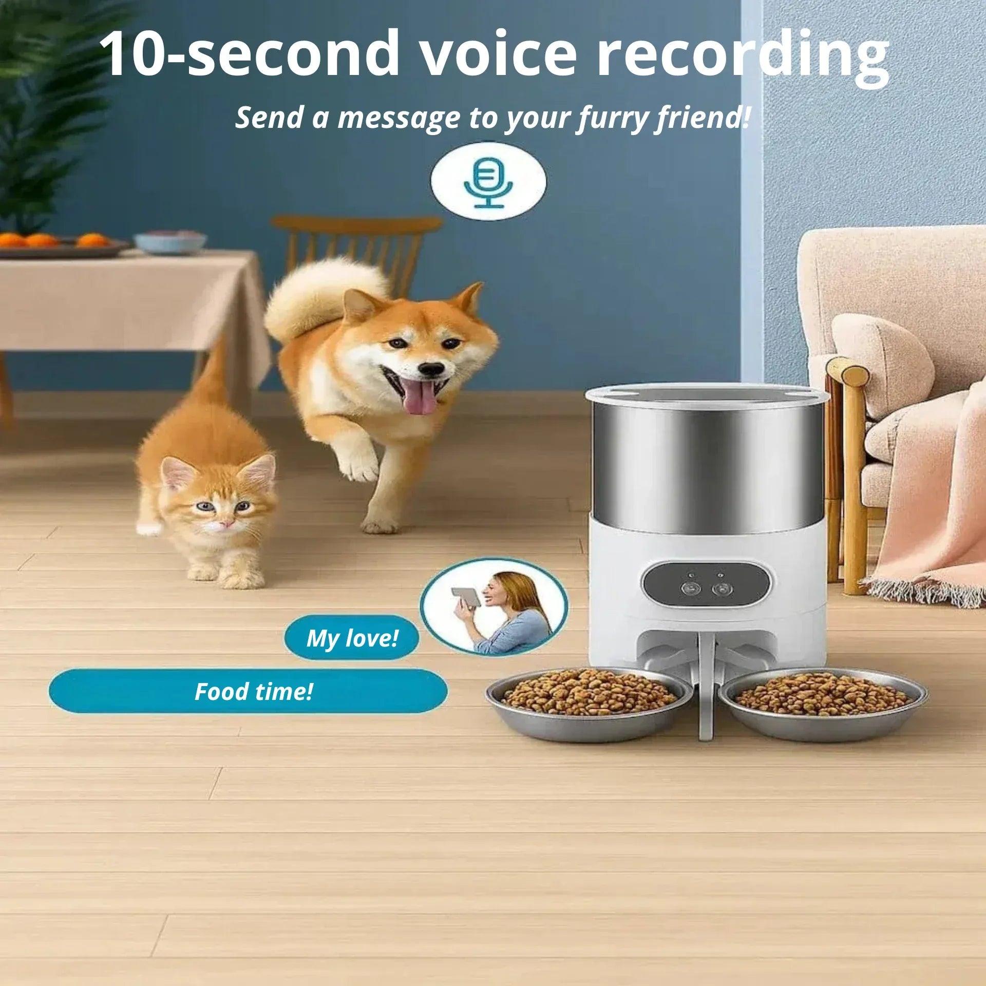 Automatic Cat Food Dispenser for 2 Cats