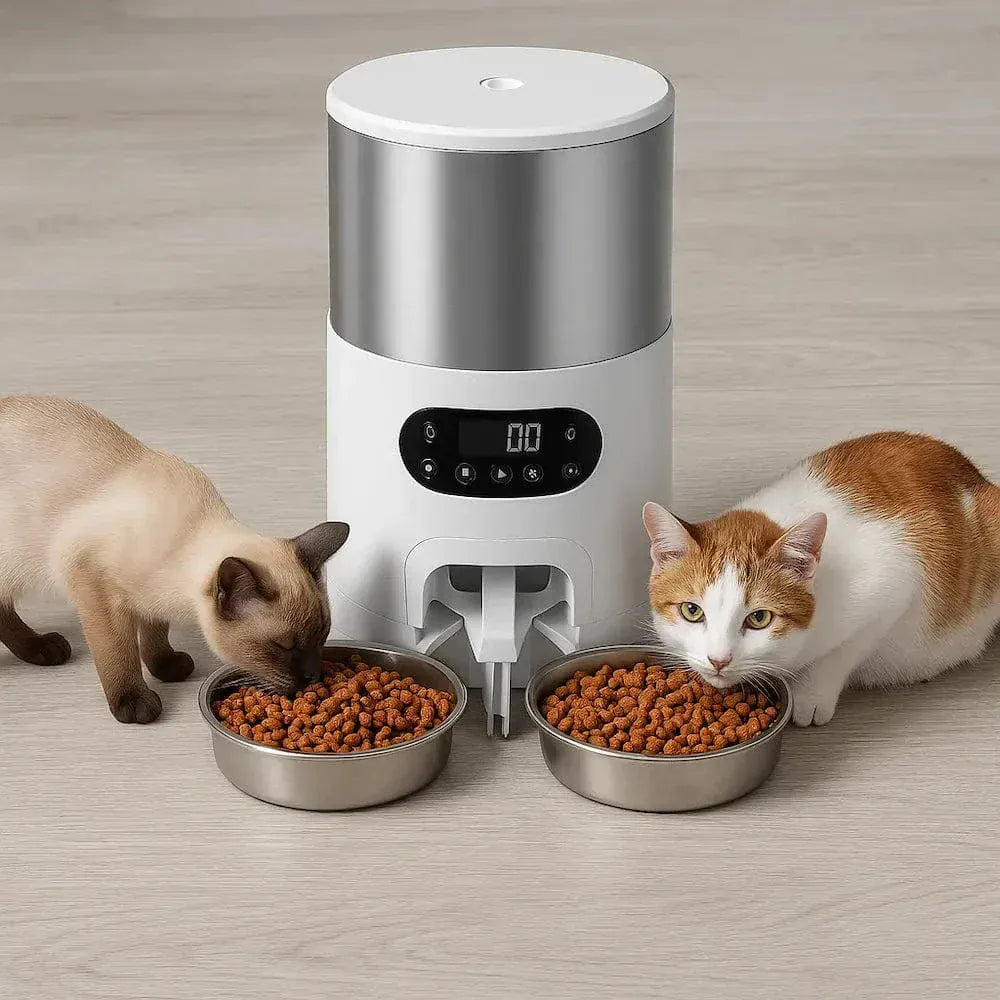 Automatic Cat Food Dispenser for 2 Cats