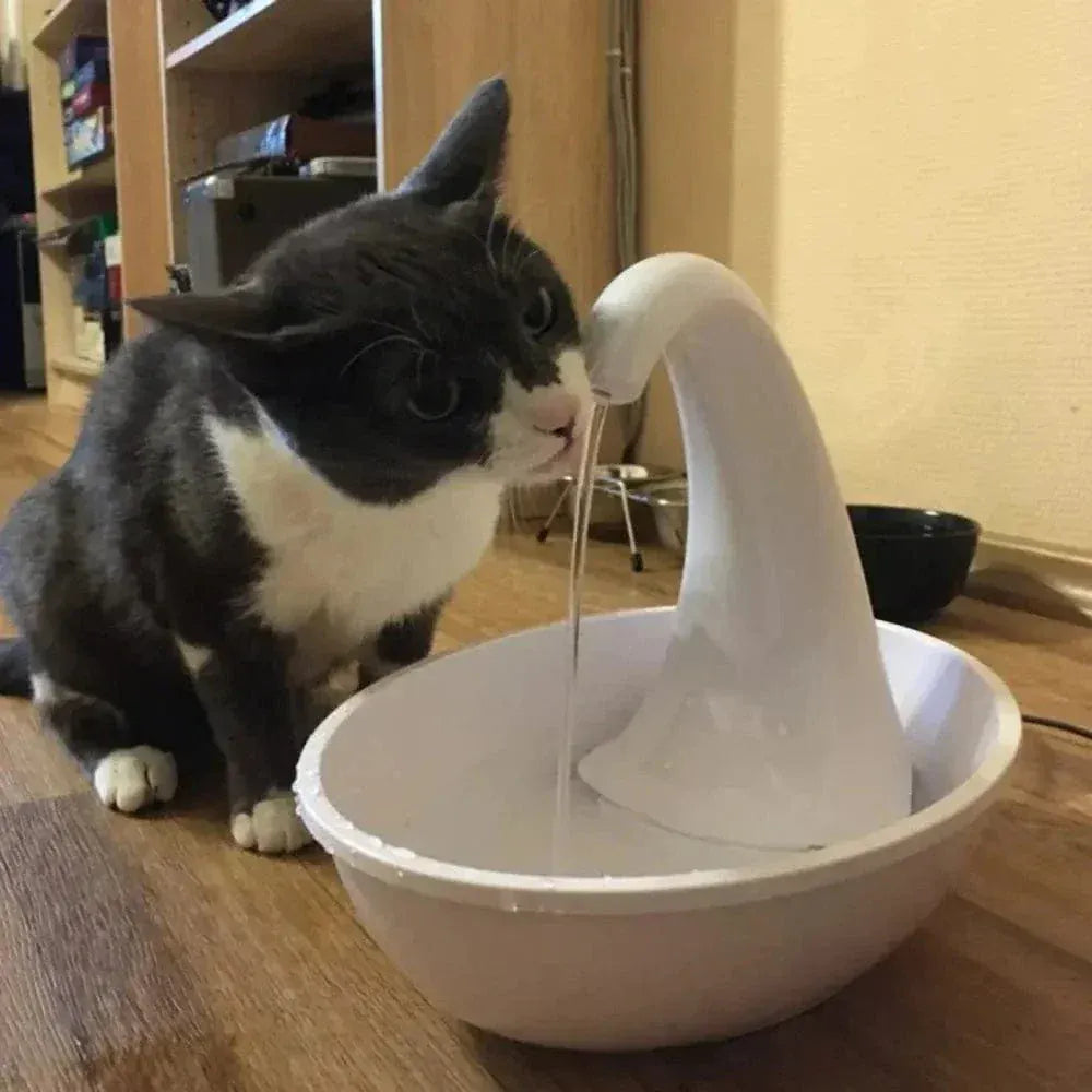 Automatic cat water fountain