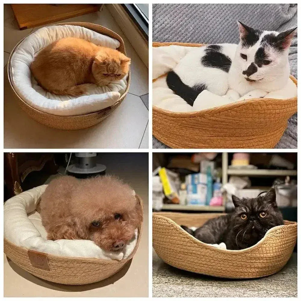 Bamboo Cat Basket
