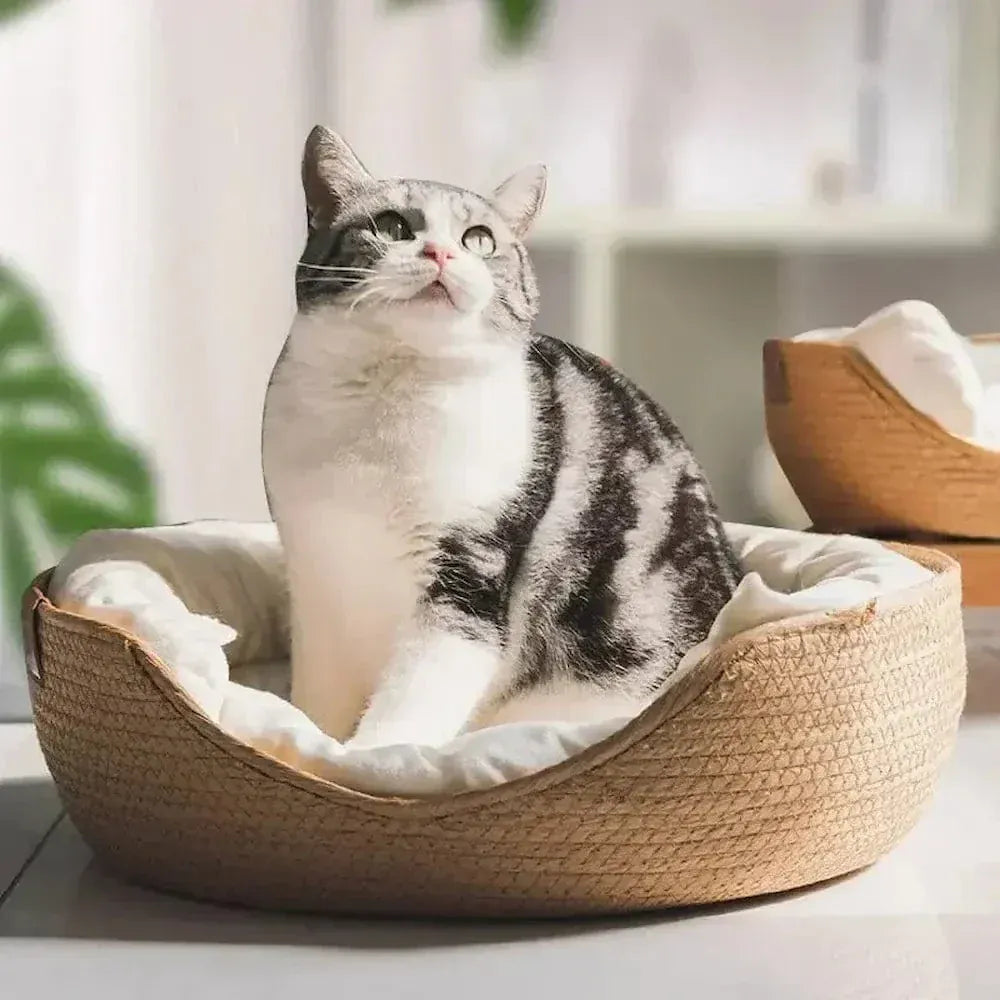Bamboo Cat Basket
