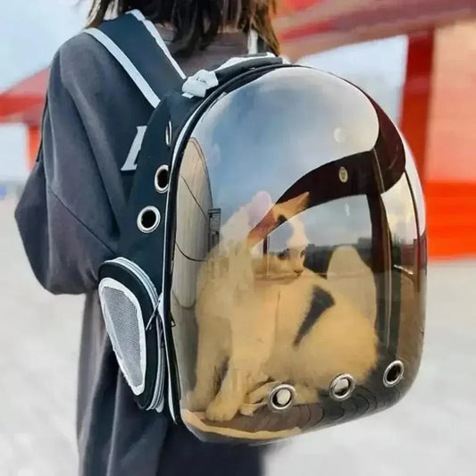 Bubble Cat Backpack – 180° View