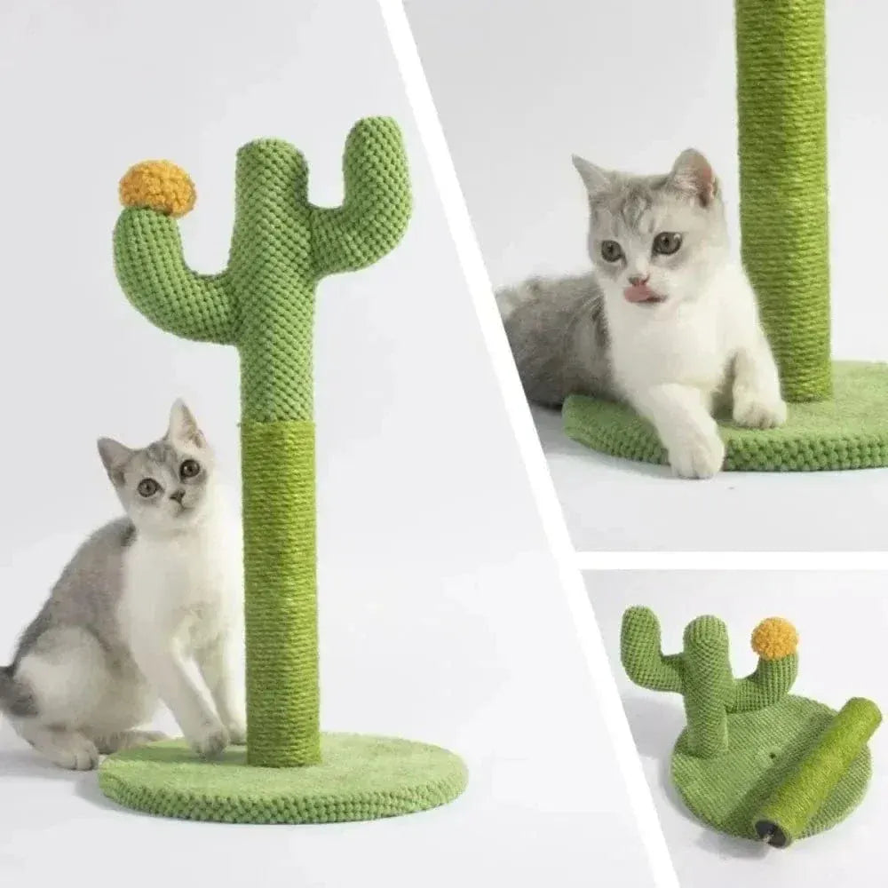 Cactus cat scratcher