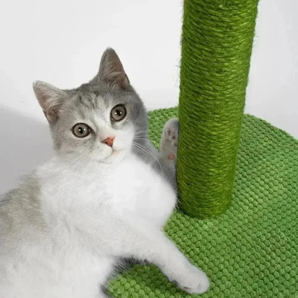 Cactus cat scratcher